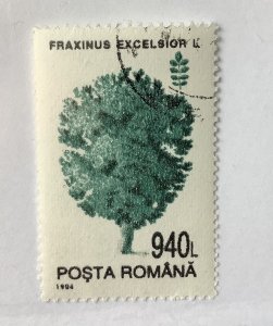 Romania 1994 Scott 3920 CTO - 940 l,  Trees,  Fraxinus excelsior