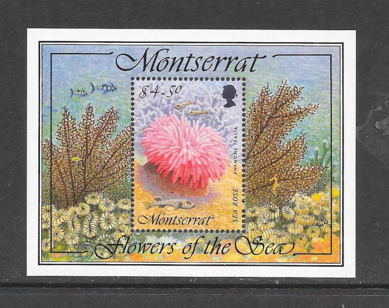 MONTSERRAT #859 MARINE LIFE S/S MNH