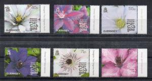 GUERNSEY - 2013 - FLOWERS - RAYMOND EVISON - 25 YEARS OF GOLD -