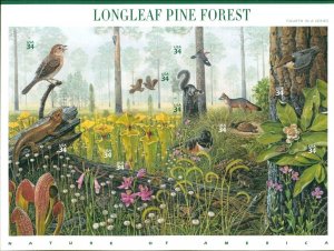 US 2002 Nature of America LONGLEAF PINE FOREST Sheet of 10; 34 Cents MNH Sc 3611