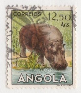 Angola       379      Used