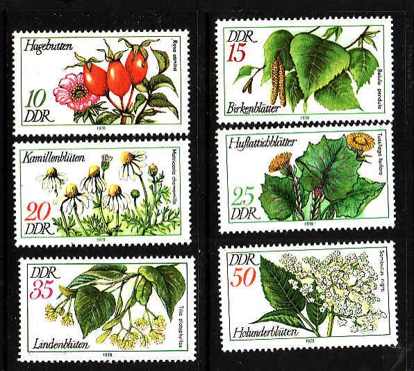 Germany DDR-Sc#1875-80-unused NH set-Medicinal Plants-1978-