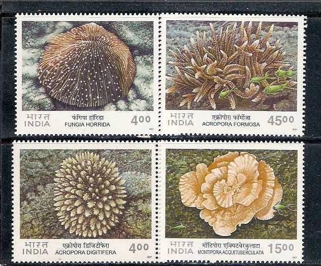 INDIA 2001 MARINE LIFE, CORAL MNH**# 1407