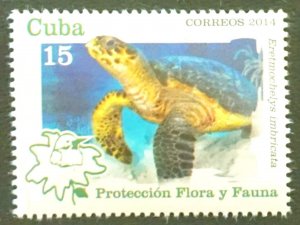 Cuba Sc# 5601  PROTECTED endangered turtle 15c   2014 MNH