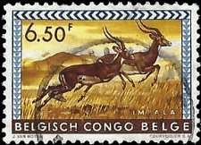 BELGIAN CONGO   #315 USED (5)