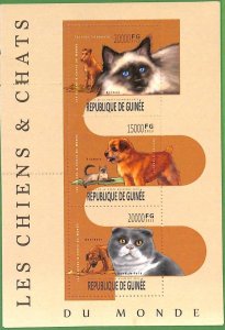 A0580 -  GUINEE Guinea -  ERROR   MISSPERF SHEET - Animals Pets CATS  2013