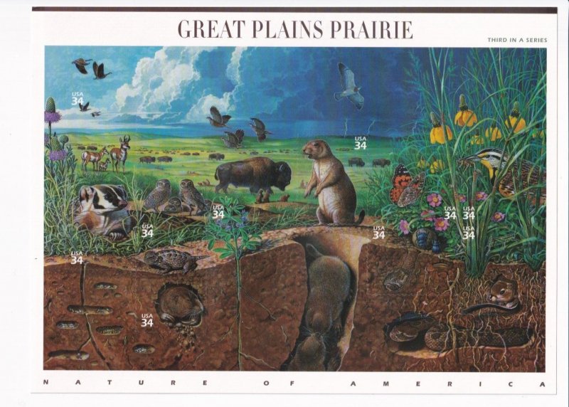 U.S.: Sc #3506, Great Plains Prairie 34c, Sheet of 10, MNH (3506)