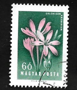 Hungary 1958 - U - Scott #1198