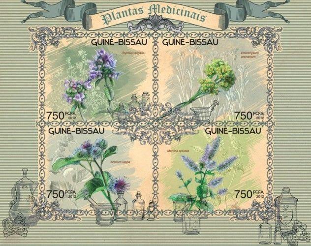 Medical Plants Pflanzen Flowers Flora Medicine Guinea-Bissau MNH stamp sheet