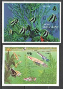 A1077 Sierra Leone Fish & Marine Life Two-Striped Panchax Angelfish 2Bl Mnh