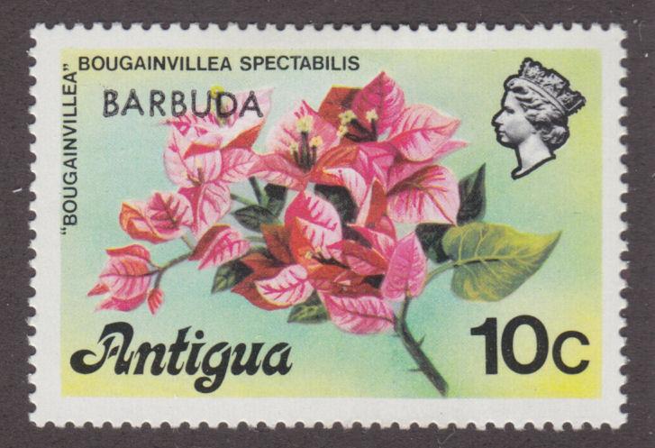 Barbuda 273 Bougainvillea 1977