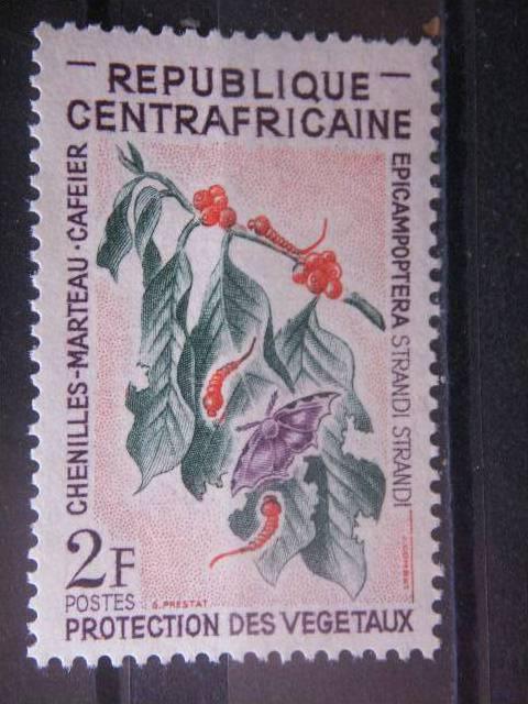 CENTRAL AFRICAN, 1965, MH 2f, Scott 53, Moth on Coffee