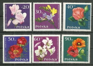 1964 Poland complete 1279-90 Garden Flowers set of 12 MNH SCV$5.85