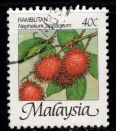 Malaysia - #329 Nephelium Lapaceum - Used