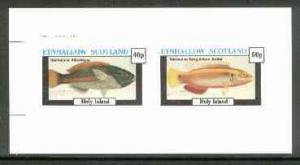 Eynhallow 1982 Fish #06 (Stethojulis albovittata & Sa...