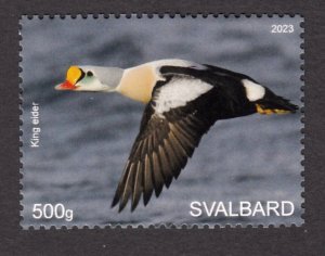 SVALBARD SPITSBERGEN 2023 BIRDS OISEAUX VOGEL UCCELLO AVES