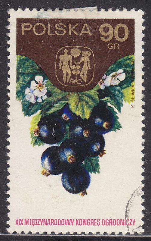 Poland 2050 Black Currants 1974