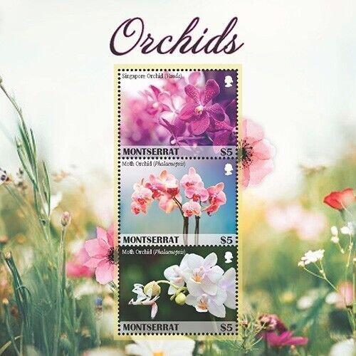 Montserrat 2019 - Orchids - Sheet of 3 stamps - MNH