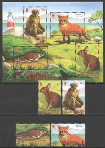 Wb176 2002 Gibraltar Fauna Animals Wildlife Of Gibraltar 1Kb+1Set Mnh