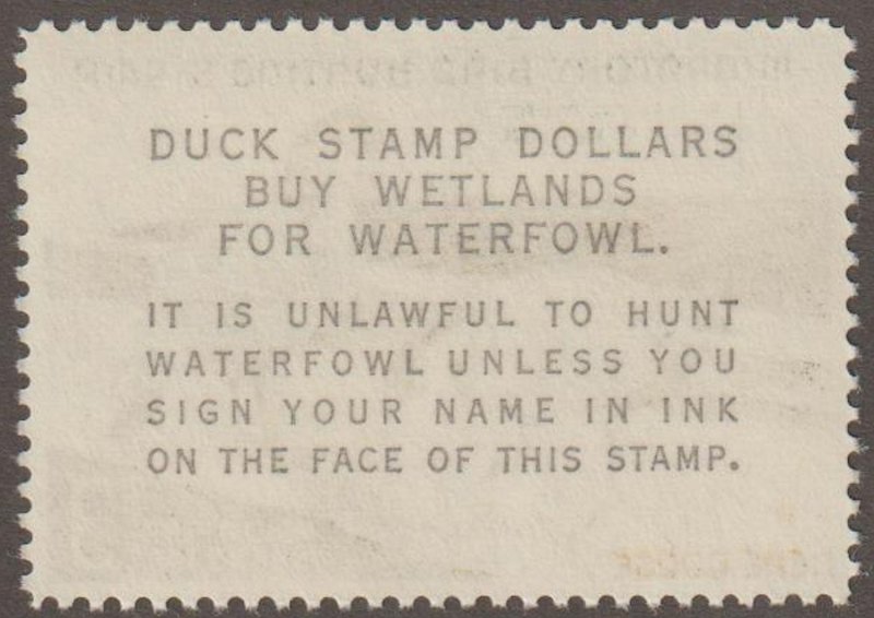 RW31 Federal Duck Stamp XF MNH