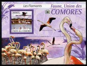 Comoro Islands 2009 Flamingos perf m/sheet unmounted mint...