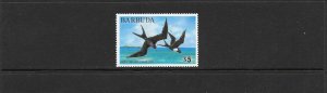 BIRDS - BARBUDA #186