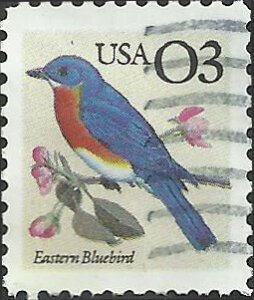 # 2478 USED EASTERN BLUEBIRD    