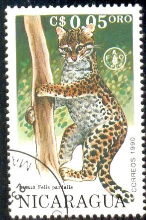 Wildcat, Ocelot, Dwarf Leopard, Nicaragua stamp SC#1822 used