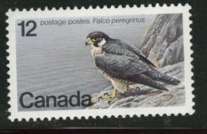 Canada Scott 752 MNH** Peregrine Falcon bird 