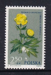 Romania   MNH  1962 flowers 2.50z trollius