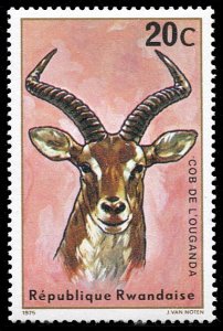 Rwanda 614, MNH, Uganda Koti Antelope