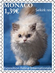 Scott #2025 Feline MNH