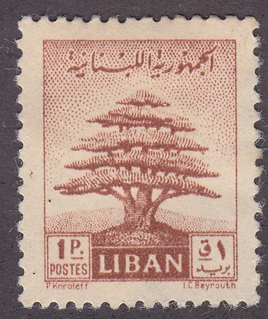 Lebanon 248 Cedar of Lebanon 1951