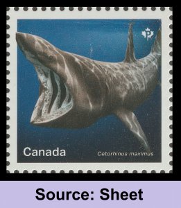 Canada 3105b Sharks Cetorhinus Maximus P single (from sheet) MNH 2018