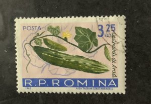 Romania 1963 Scott 1545 used - 3.25 l, Cucumber