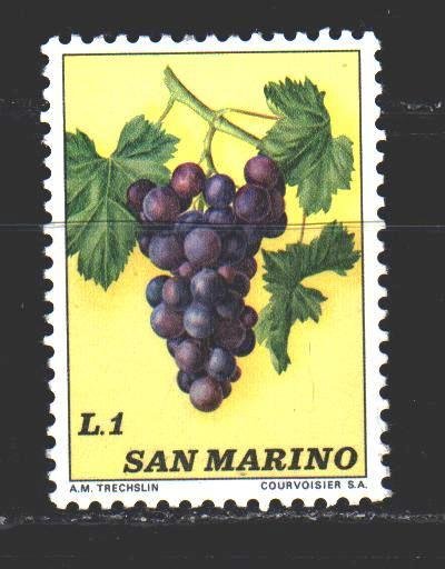 San Marino. 1973. 1031 from the series. Grapes, flora. MNH.