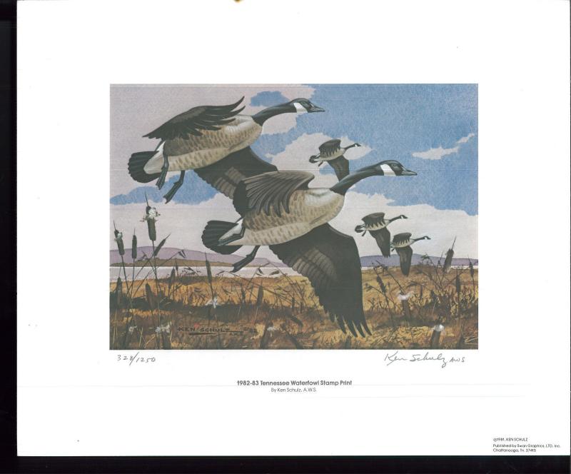 TENNESSEE #4 1982 DUCK STAMP PRINT CANADA GEESE by Ken Schulz