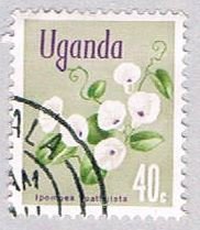 Uganda Flower 40 (AP119215)