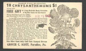 1942 POSTAL CARD PARADISE PA GROVER C SCOTT GROWS CHRYSANTHEMUMS FOR CUT FLOWERS