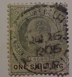 LAGOS # 56 CAT $ 30.00