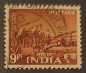India 256