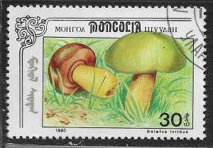 Mongolia #2087 30m Mushrooms - Boletus Luridus ~ CTO