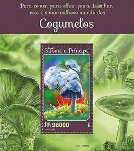 2016 S.Tome&Principe - Mushrooms. Michel: 6625 / Bl.1174  |  Scott Code: 3113