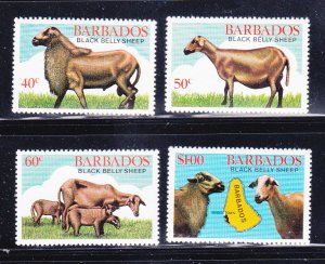 Barbados 566-569 Set MNH Animals, Sheep