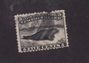 NEWFOUNDLAND # 26 FVF-5cts HARP SEAL WITH FANCY CORK CANCEL (PP77)