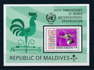 [36707] Maldives 1973 World metereological organization Perforated SS MNH