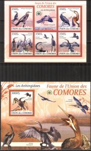 Comoro Islands 2009 Birds Anhingidaes Sheet + S/S MNH