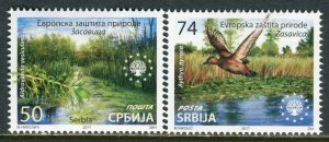 1135 SERBIA 2017 - European Nature Protection - Zasavica - Bird - Duck - MNH Set