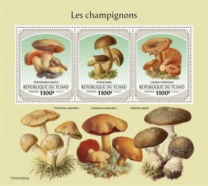 Chad - 2021 Mushrooms, Bay Bolete, Saffron Milk Cap - 3 Stamp Sheet - TCH210301a