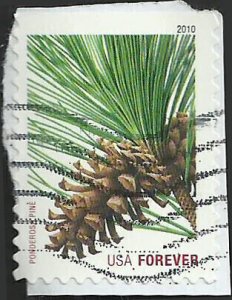 # 4478 USED PONDEROSA PINE